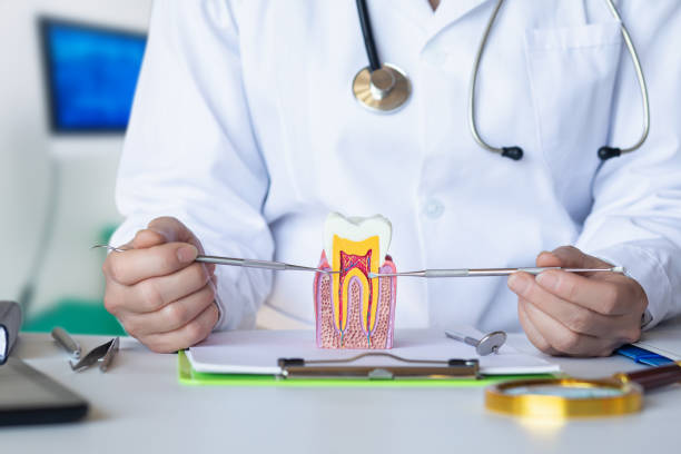 Best Emergency Dental Services for Seniors in Waikapu, HI